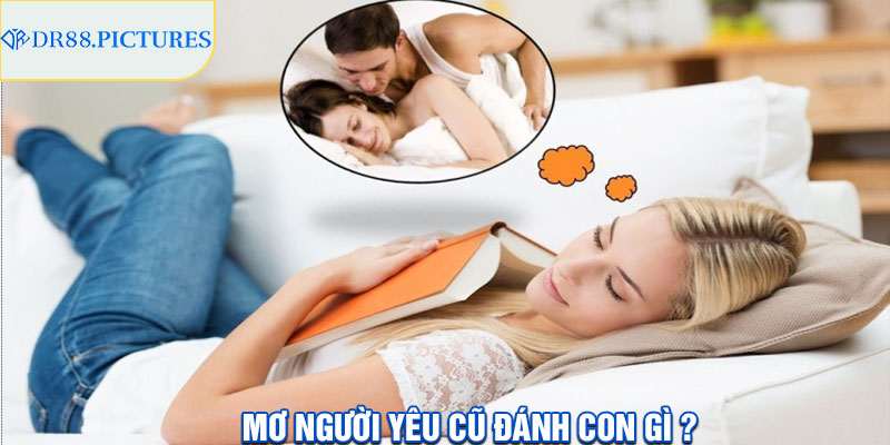 Mơ Người Yêu Cũ